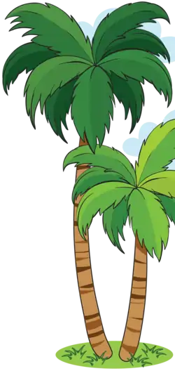 palm-tree-bg